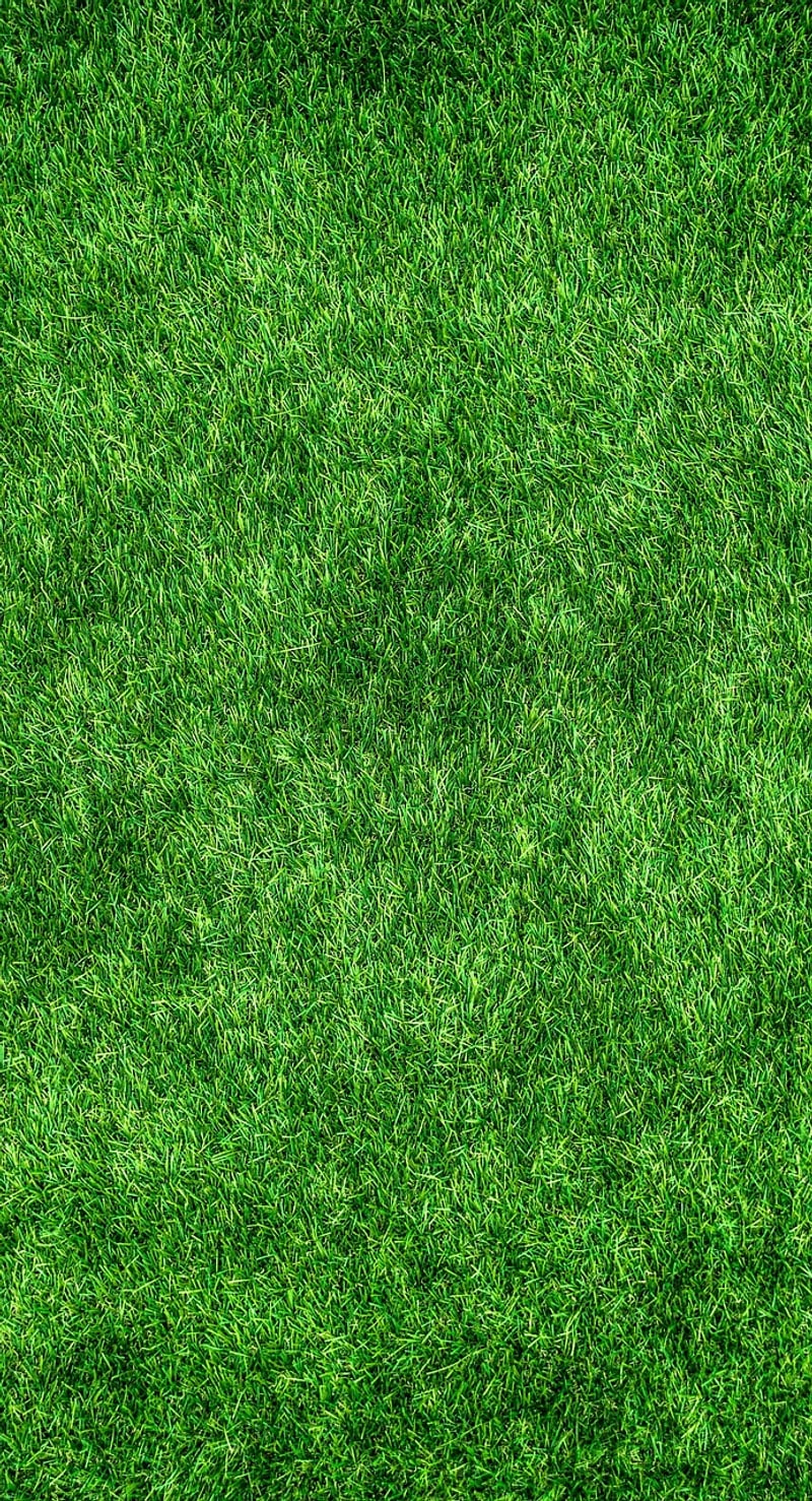 Eco-Friendly Projects